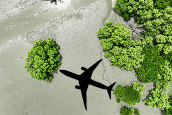 Turismo sustentável