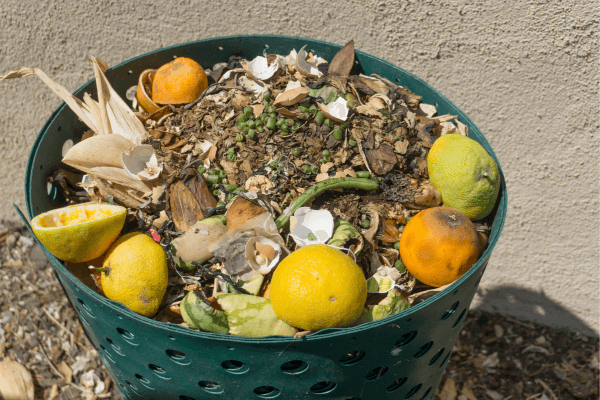 como fazer composteira