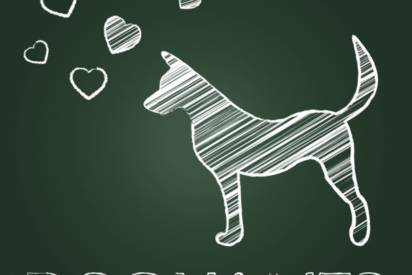 Nomes para Cachorros